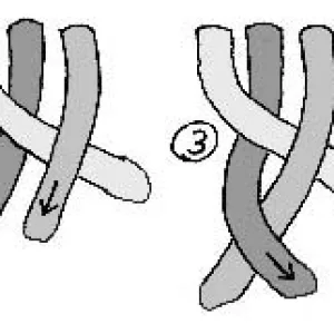 中世纪3 股和 4 股辫子