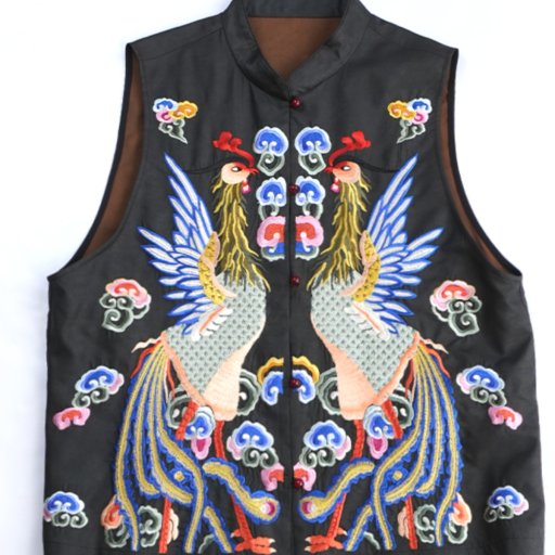 Qing Dynasty Hanfu Embroidered Xiangyun gauze Vest